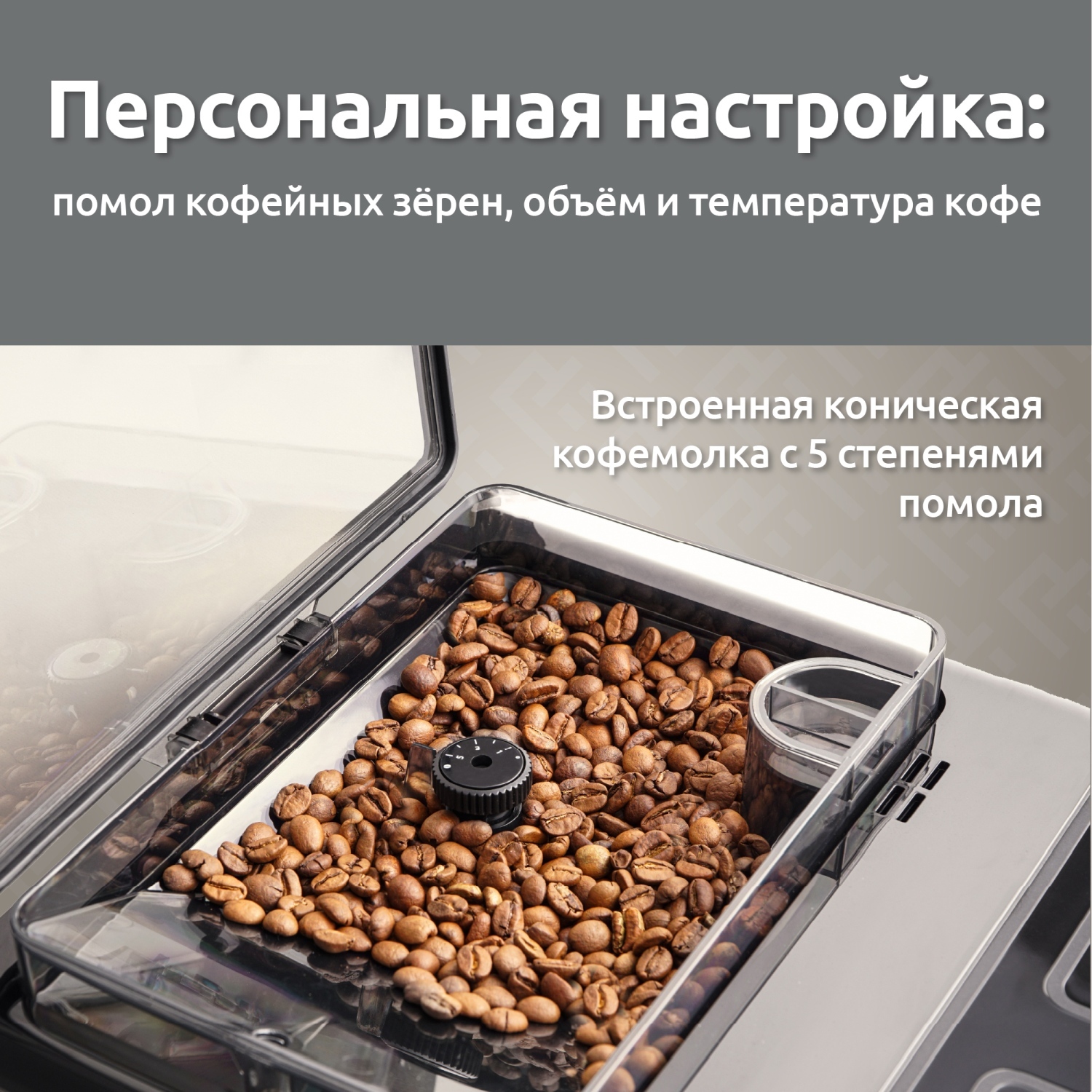 Evelux EACM 2007 Vivo